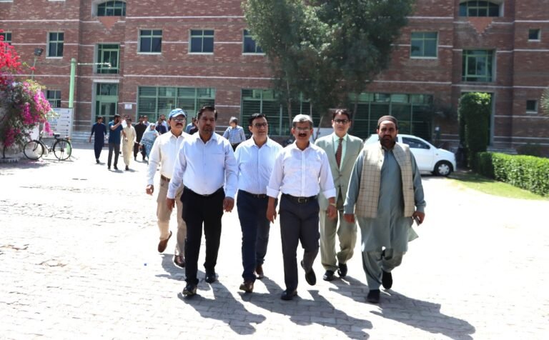 WhatsApp Image 2025-03-18 at 10.35.10 PM (1)